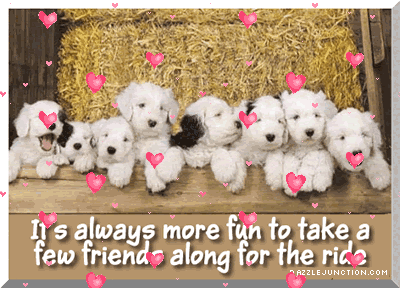 Fun Friends