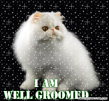 Groomed