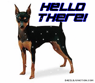 Hello Doberman