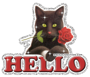 Hello Kitty Rose