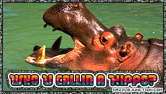 Hippo