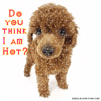 Hot Pup