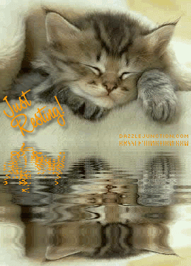 Just Resting