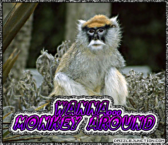 Monkey Around