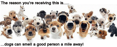 Smell A Good Person Cute Animals image