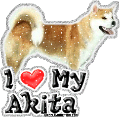 Akita