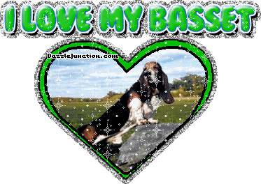 Basset Dog Lovers image