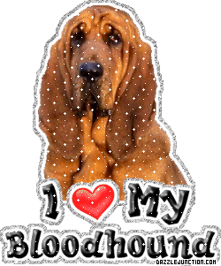 Bloodhound Dog Lovers image