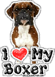 Boxer Dog Lovers image