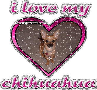 Chihuahua Dog Lovers image