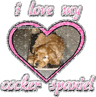 Cocker Spaniel