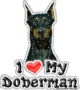 Doberman