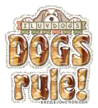 Dogs Rule