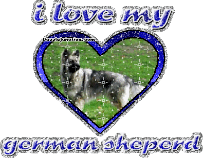 German Sheperd