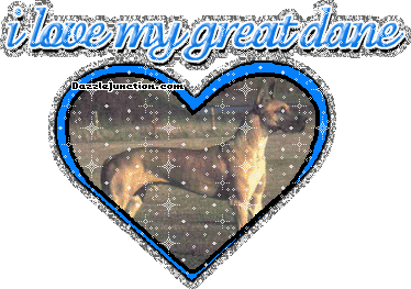 Great Dane