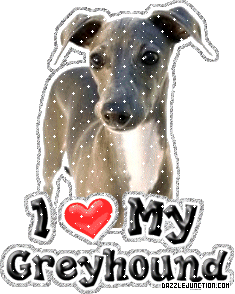 Greyhound