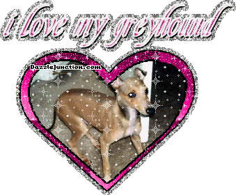 Greyhound