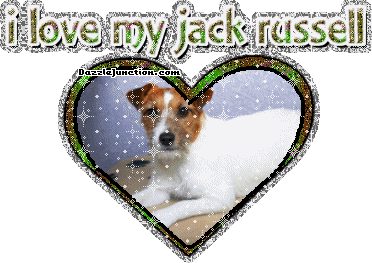 Jack Russell Dog Lovers image