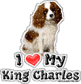 King Charles Dog Lovers image