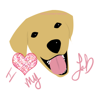 Lab Dog Lovers image