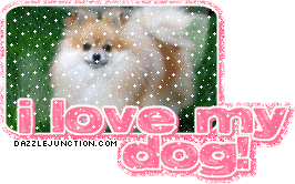 Love My Dog Dog Lovers image