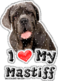 Mastiff Dog Lovers image