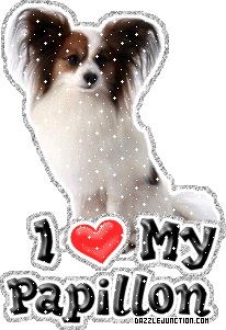 Papillon