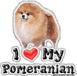 Pomeranian Dog Lovers image