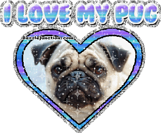 Pug Dog Lovers image