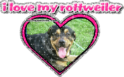 Rottweiler