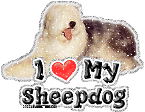 Sheepdog Dog Lovers image