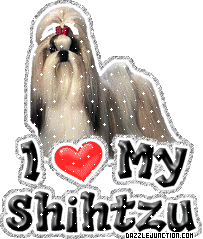 Shihtzu Dog Lovers image