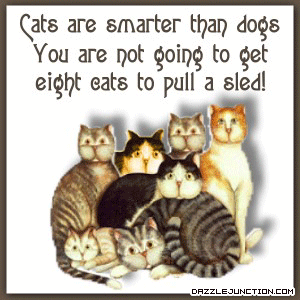 Cats Smarter Pet Lovers image
