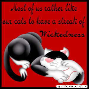 Cats Wickedness
