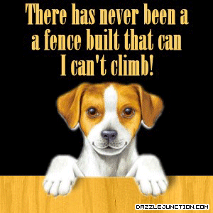 Climb Fence Pet Lovers image