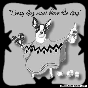 Dog Has Day Pet Lovers image