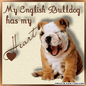 English Bulldog Heart Pet Lovers image