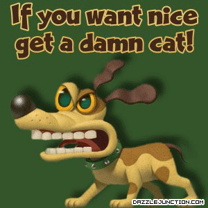 Get Cat Pet Lovers image