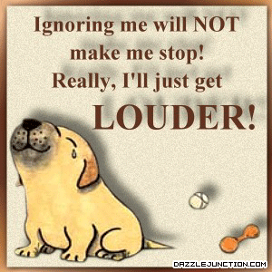 Ignoring Makes Louder Pet Lovers image