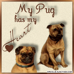 Pug Heart Pet Lovers image