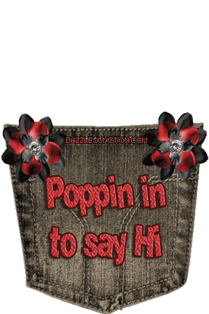 Poppin Hi Pig Pocket Pals image