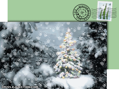White Snow Tree Christmas Cards image