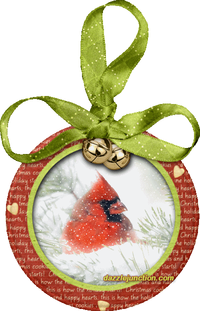 Cardinal Laying