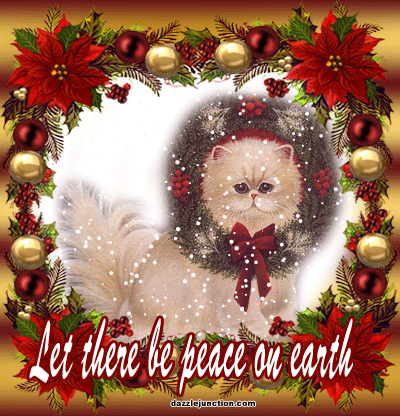 Peace On Earth Cat