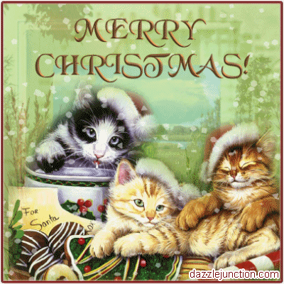 Christmas Cats