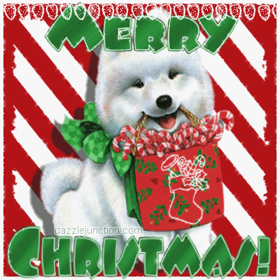 A Doggie Gift