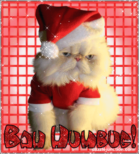 Bah Humbug Cat