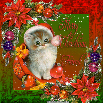 Cat Chirstmas Hat