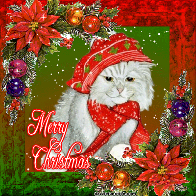 Cute Christmas Cat image