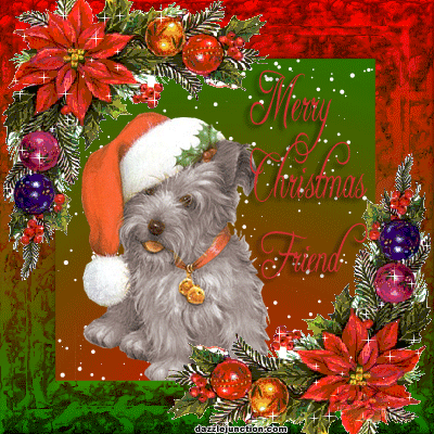 Cute Dog Christmas image